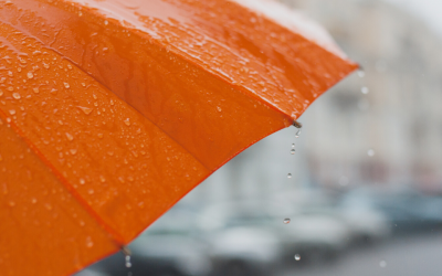 Where are the April Showers?