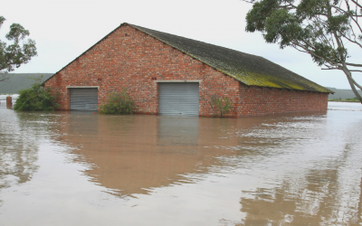 Can We Ever Learn From Disasters of the Past?